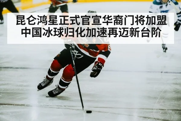hockey player action